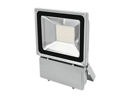 Eurolite 51914780 Bombilla LED IP Fl-100, 6400 K, Multicolor