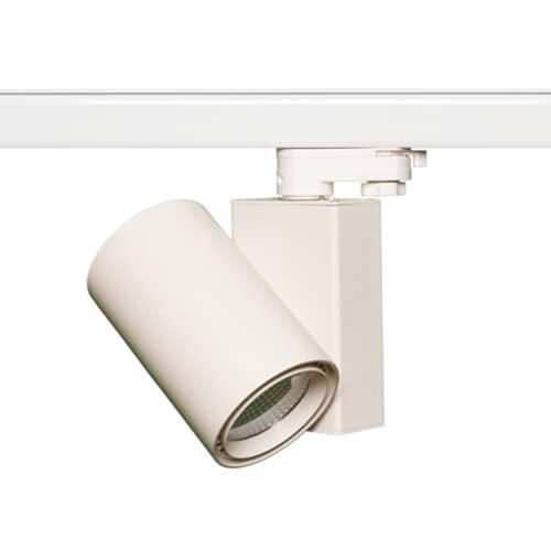 Silver Electronics - Proyector TOBOR LED trifásico 30W Temperatura de color: 4000K (Luz neutra) Ángulo: 38º Color: Blanco