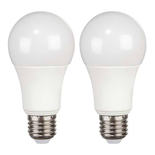 NCC-Licht - Bombilla LED (E27, 1521 lm, sustituye a 100 W
