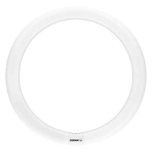 OSRAM Tubo LED T9, blanco frío (4000K), 2000 lúmenes