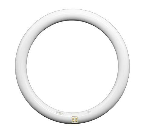 Tubo led circular ø 300 mm. Tubo circular blanco 20W, 6500K