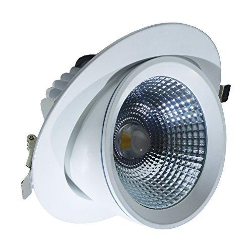 LAES - Foco LED Basculante y Orientable, 40 W, Blanco