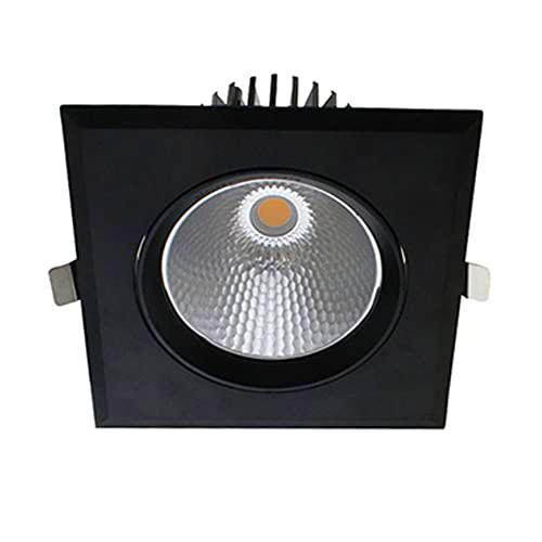 LAES - Foco Empotrabel Downlight Cardan LED, 20 watts