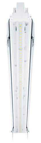 Zumtobel Bombillas LED de la marca modelo SLOIN B LED840 L500 PC/PCO