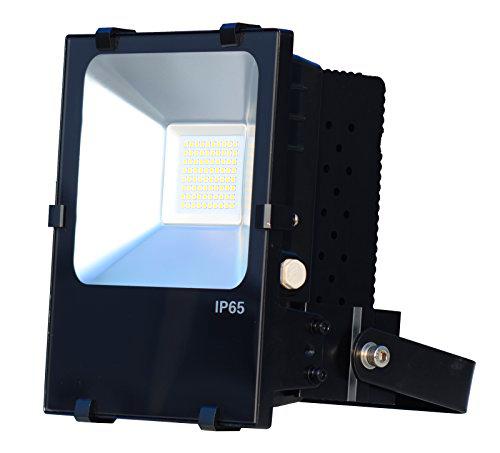 F-Bright Led Proyector LED Profesional, 70 W, Negro