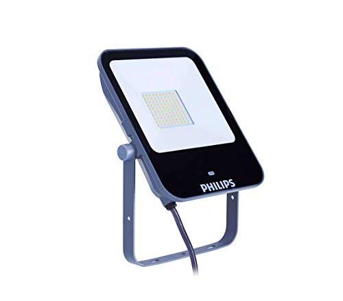 Philips Ledinaire LED Negro - Proyectores (LED, 1 bombilla(s)