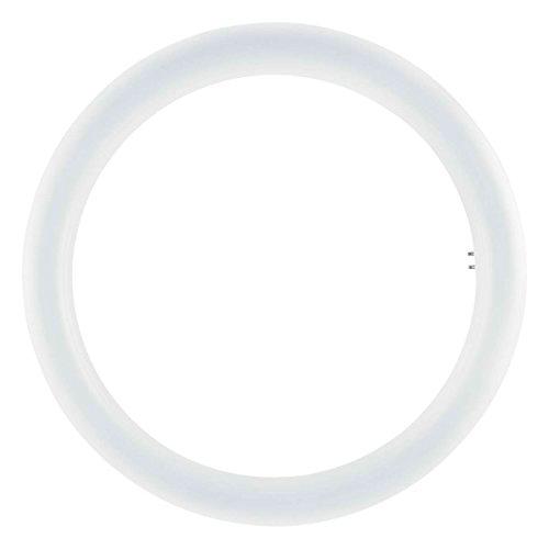 Osram - Tubo circular LED, 20 W, Blanco