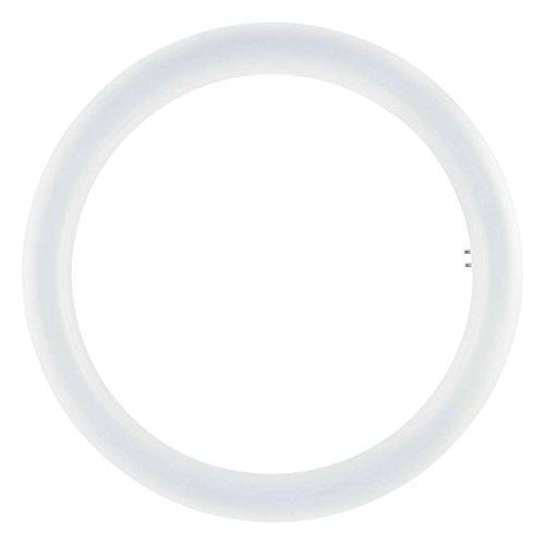 Osram - Tubo circular LED, 20 W, Blanco