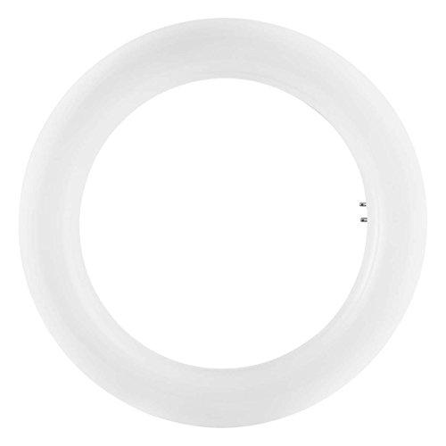 Osram lámpara LED, casquillo: G10q, Blanco Frío, 6500 K
