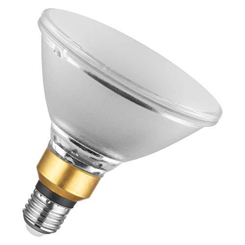 Osram Lamps Bombilla LED, Blanco Cálido, no Regulable